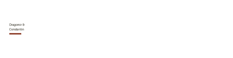Dragomir & Constantin logo